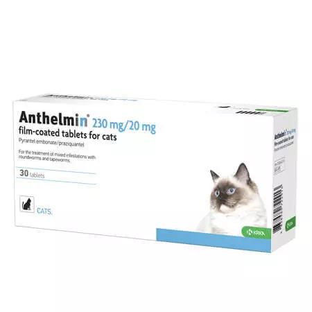 Anthelmin For Cats 1 Anthelmin For Cats