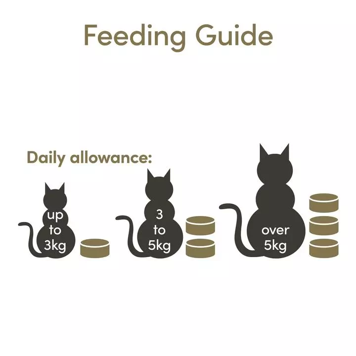 Applaws Whitefish With Salmon In Broth Cat Food 5 Applaws Whitefish With Salmon In Broth Cat Food - Image 5