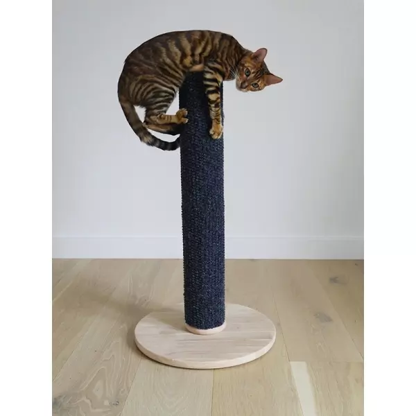 Catwalk Collection Natural Tumeric Cat Scratcher 1 Catwalk Collection Natural Tumeric Cat Scratcher