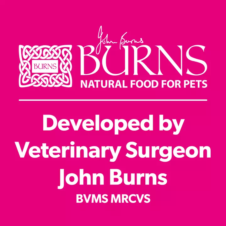 Burns Original Chicken & Brown Rice Adult & Senior Cat Food 3 Burns Original Chicken & Brown Rice Adult & Senior Cat Food - Image 3