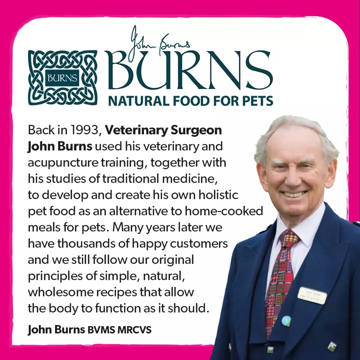 Burns Original Chicken & Brown Rice Adult & Senior Cat Food 2 Burns Original Chicken & Brown Rice Adult & Senior Cat Food - Image 2