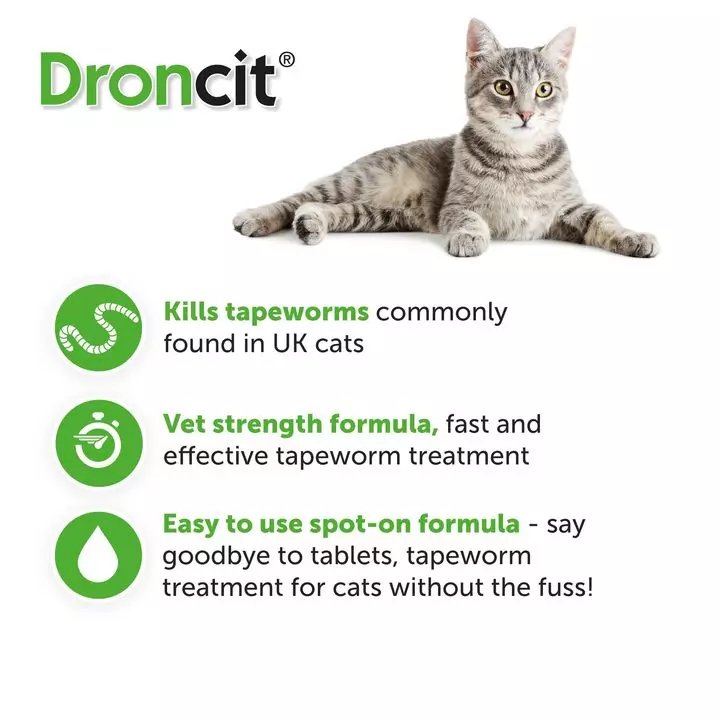 Vetoquinol Droncit Spot-On Tapewormer For Cats 4 Vetoquinol Droncit Spot-On Tapewormer For Cats - Image 4