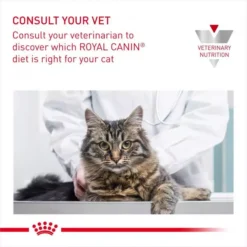 ROYAL CANIN® Gastro Intestinal Adult Cat Food 15 ROYAL CANIN® Gastro Intestinal Adult Cat Food -Petties Zone gastrointestinal gi32 qhdl.jpg