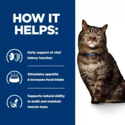 Hills Hill's Prescription Diet K/d Early Stages Cat Food 15 Hills Hill's Prescription Diet K/d Early Stages Cat Food -Petties Zone hills prescription diet kd early stages cat food gx7l.jpg
