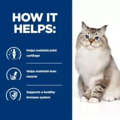 Hills Hill's Prescription Diet J/d Joint Care Chicken Dry Cat Food -Petties Zone hills prescription jd diets ikjf.jpg