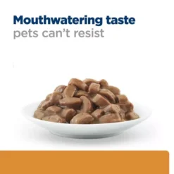 Hills Hill's Prescription Diet K/d Kidney Care Cat Food -Petties Zone hills prescription kd diets cb0v.jpg