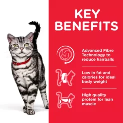 Hills Hill's Science Plan Adult Hairball & Indoor Chicken Cat Food 9 Hills Hill's Science Plan Adult Hairball & Indoor Chicken Cat Food -Petties Zone hills science plan adult hairball indoor cat food 1evj.jpg