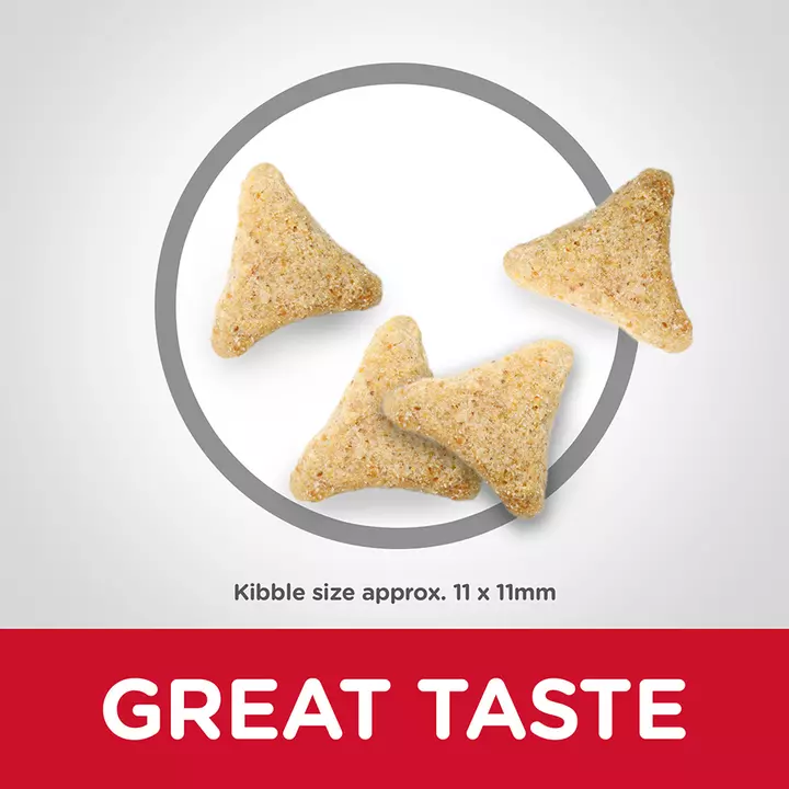 Hills Hill's Science Plan Adult Hairball & Indoor Chicken Cat Food 6 Hills Hill's Science Plan Adult Hairball & Indoor Chicken Cat Food - Image 6