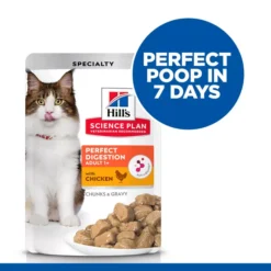 Hills Hill's Science Plan Perfect Digestion Adult 1+ Cat Food With Chicken 9 Hills Hill's Science Plan Perfect Digestion Adult 1+ Cat Food With Chicken -Petties Zone hills science plan perfect digestion adult 1 cat food with chicken r64o.jpg