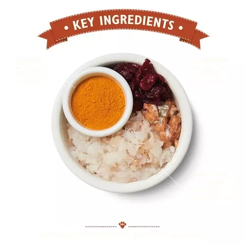 Lily's Kitchen Fish & Turkey Senior Cat Food 2 Lily's Kitchen Fish & Turkey Senior Cat Food - Image 2