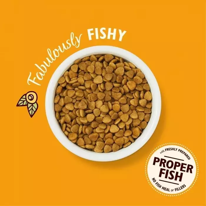 Lily's Kitchen Fisherman's Feast Dry Cat Food 2 Lily's Kitchen Fisherman's Feast Dry Cat Food - Image 2