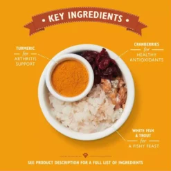 Lily's Kitchen Chicken & White Fish Kitten Recipe -Petties Zone lilys kitchen lifestages jgjl.jpg