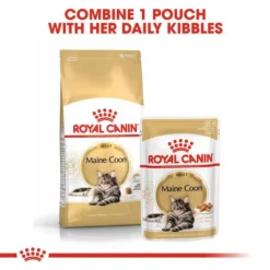 ROYAL CANIN® Maine Coon Adult Dry Cat Food -Petties Zone maine coon e1is.jpg