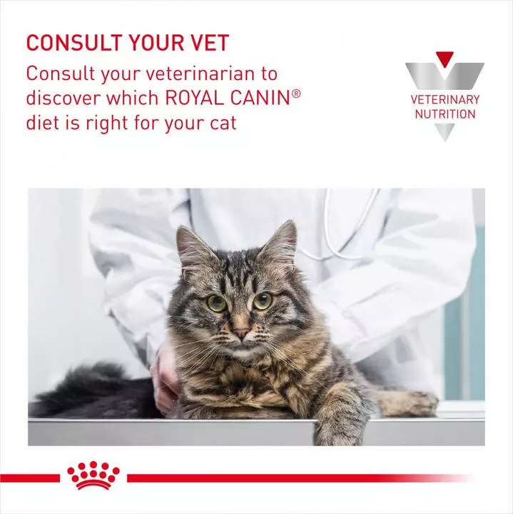 ROYAL CANIN® Gastro Intestinal Moderate Calorie Adult Cat Food 6 ROYAL CANIN® Gastro Intestinal Moderate Calorie Adult Cat Food - Image 6
