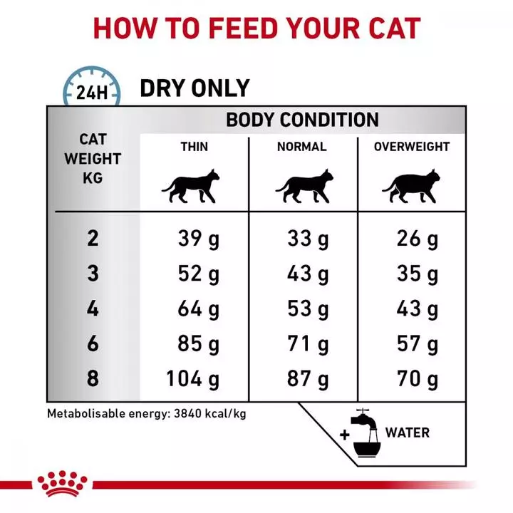 ROYAL CANIN® Feline Skin & Coat Adult Cat Food 5 ROYAL CANIN® Feline Skin & Coat Adult Cat Food - Image 5