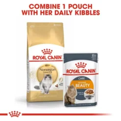 ROYAL CANIN® Norwegian Forest Adult Cat Food 7 ROYAL CANIN® Norwegian Forest Adult Cat Food -Petties Zone norwegian forest cat 1bu6.jpg