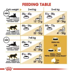 ROYAL CANIN® Norwegian Forest Adult Cat Food 6 ROYAL CANIN® Norwegian Forest Adult Cat Food -Petties Zone norwegian forest cat pi74.jpg
