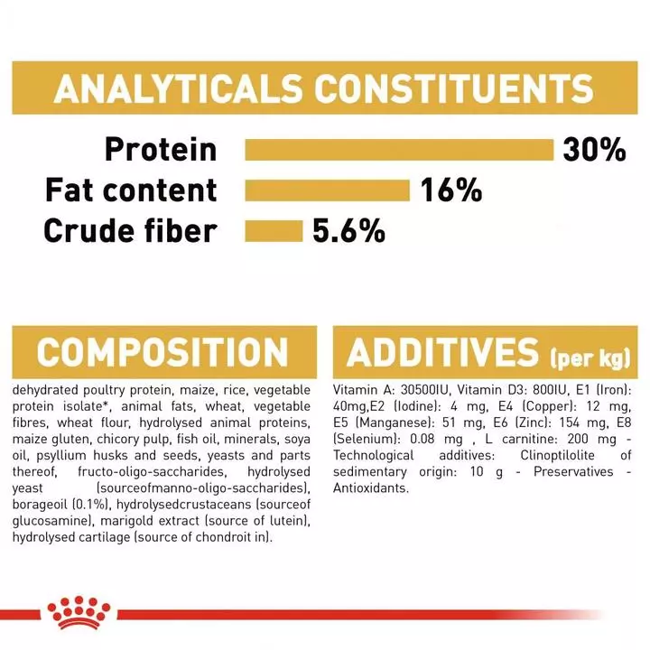 ROYAL CANIN® Norwegian Forest Adult Cat Food 2 ROYAL CANIN® Norwegian Forest Adult Cat Food - Image 2