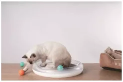 Petkit 4in1 Cat Scratcher -Petties Zone petkit 4in1 cat scratcher oe72.jpg