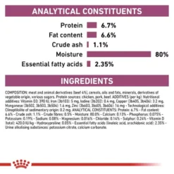 ROYAL CANIN® Renal Adult Wet Cat Food -Petties Zone renal ns5n.jpg