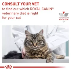 ROYAL CANIN® Renal Adult Wet Cat Food -Petties Zone renal yofp.jpg