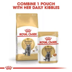 ROYAL CANIN® British Shorthair Adult Cat Wet Food 10 ROYAL CANIN® British Shorthair Adult Cat Wet Food -Petties Zone royal canin british shorthair adult cat wet food p50v.jpg
