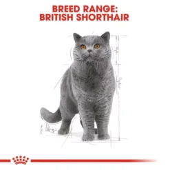 ROYAL CANIN® British Shorthair Adult Cat Wet Food 13 ROYAL CANIN® British Shorthair Adult Cat Wet Food -Petties Zone royal canin british shorthair adult cat wet food qfz1.jpg
