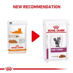 ROYAL CANIN® Early Renal Adult Wet Cat Food 11 ROYAL CANIN® Early Renal Adult Wet Cat Food -Petties Zone royal canin early renal adult wet cat food ytdm.jpg