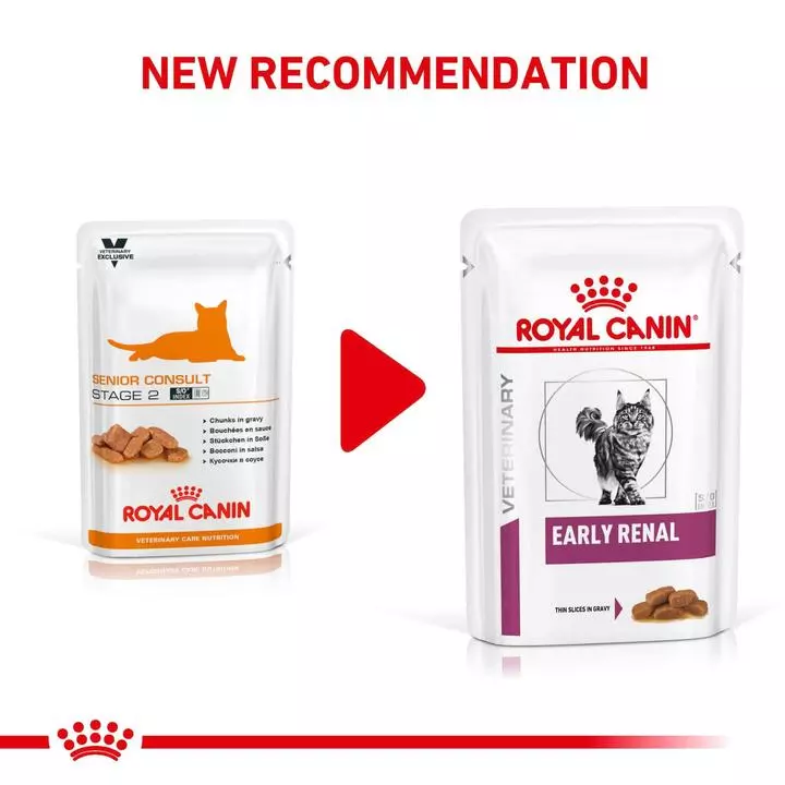 ROYAL CANIN® Early Renal Adult Wet Cat Food 3 ROYAL CANIN® Early Renal Adult Wet Cat Food - Image 3