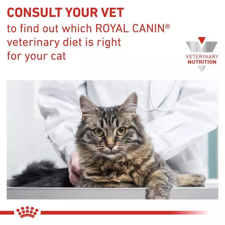 ROYAL CANIN® Early Renal Adult Wet Cat Food 9 ROYAL CANIN® Early Renal Adult Wet Cat Food - Image 9
