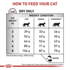 ROYAL CANIN® Gastro Intestinal Fibre Response Cat Food -Petties Zone royal canin feline gastro intestinal fibre response dry food 2kdq.jpg