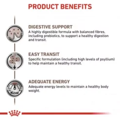 ROYAL CANIN® Gastro Intestinal Fibre Response Cat Food -Petties Zone royal canin feline gastro intestinal fibre response dry food whcv.jpg