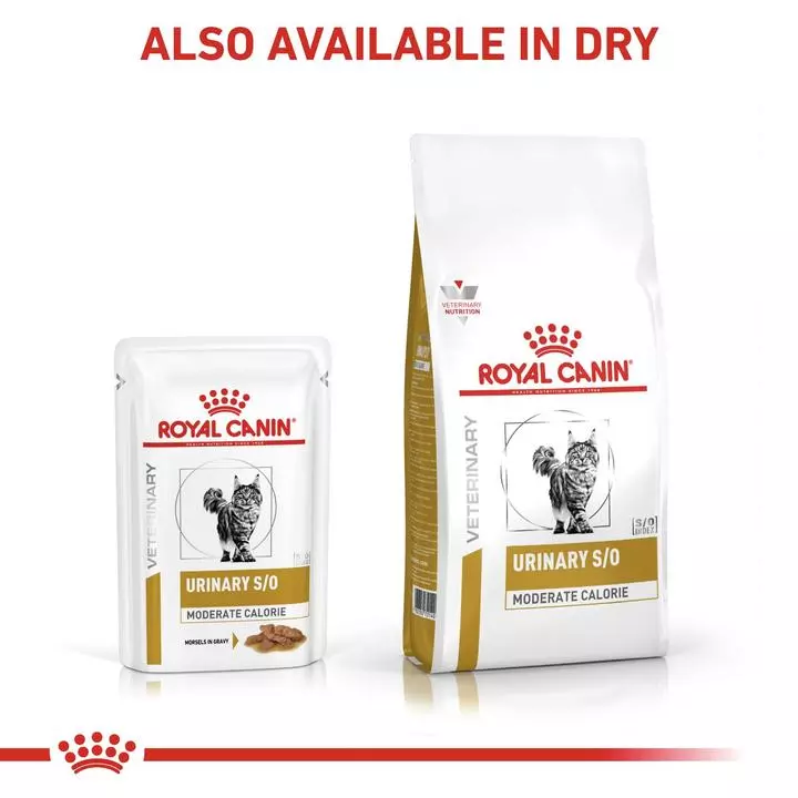 ROYAL CANIN® Feline Urinary S/O Moderate Calorie Adult Cat Food 12 ROYAL CANIN® Feline Urinary S/O Moderate Calorie Adult Cat Food - Image 12
