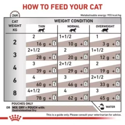 ROYAL CANIN® Gastro Intestinal Adult Cat Food 14 ROYAL CANIN® Gastro Intestinal Adult Cat Food -Petties Zone royal canin gastro intestinal adult cat food t2em.jpg