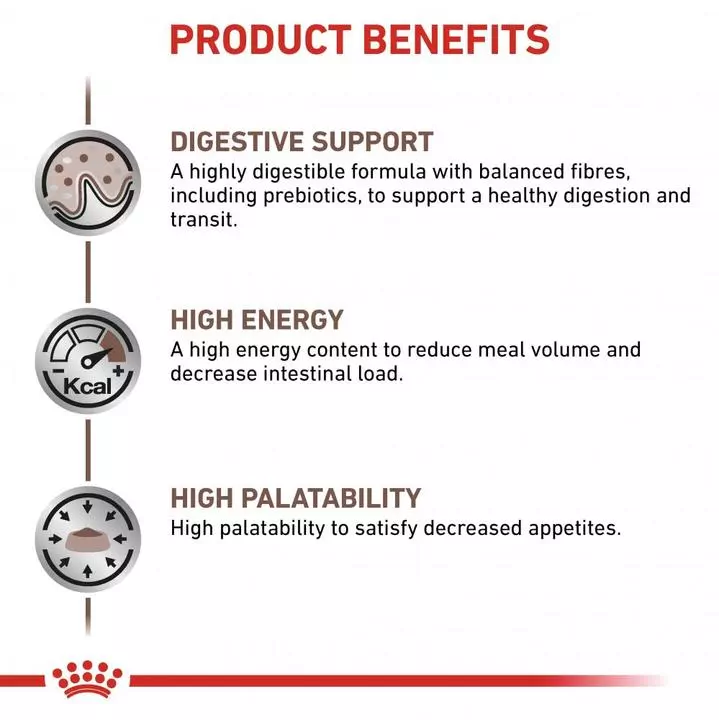 ROYAL CANIN® Gastro Intestinal Adult Cat Food 5 ROYAL CANIN® Gastro Intestinal Adult Cat Food - Image 5