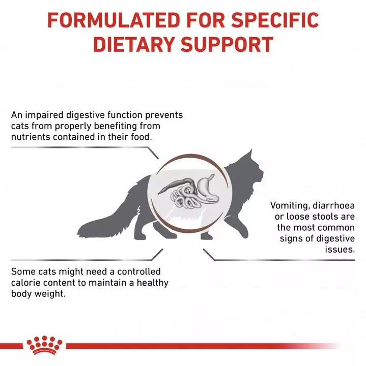 ROYAL CANIN® Gastro Intestinal Moderate Calorie Adult Cat Food 5 ROYAL CANIN® Gastro Intestinal Moderate Calorie Adult Cat Food - Image 5