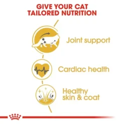 ROYAL CANIN® Maine Coon Adult Dry Cat Food -Petties Zone royal canin maine coon adult dry cat food aa2z.jpg