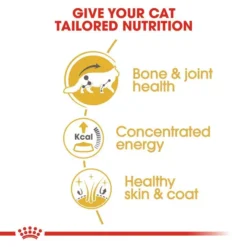 ROYAL CANIN® Maine Coon Adult Dry Cat Food -Petties Zone royal canin maine coon adult dry cat food ldzm.jpg