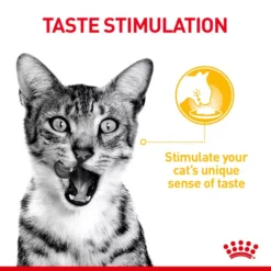 ROYAL CANIN® Sensory Taste In Gravy Adult Wet Cat Food -Petties Zone royal canin sensory taste in gravy adult wet cat food 2liz.jpg