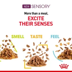 ROYAL CANIN® Sensory Taste In Gravy Adult Wet Cat Food -Petties Zone royal canin sensory taste in gravy adult wet cat food sqcl.jpg