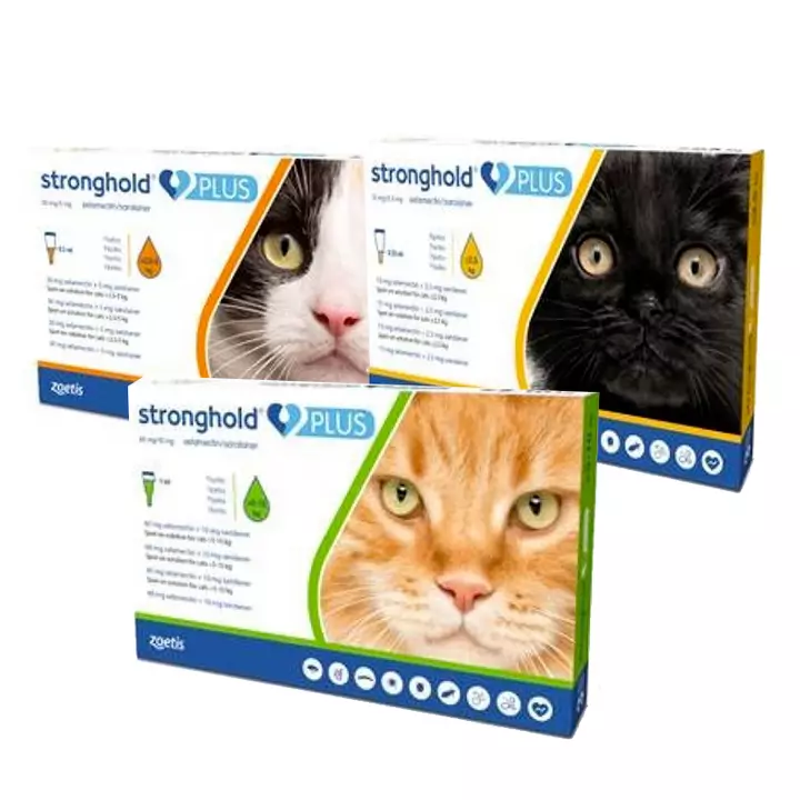 ZOETIS Stronghold Plus Spot-on Solution For Cats 1 ZOETIS Stronghold Plus Spot-on Solution For Cats