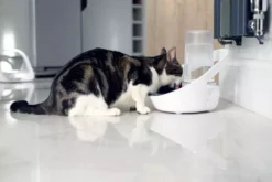 SureFlap Felaqua Connect Water Bowl White -Petties Zone sureflap felaqua connect water bowl white ej93.jpg