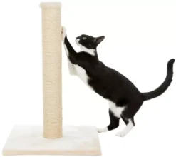Trixie Parla Scratching Post For Cats Beige