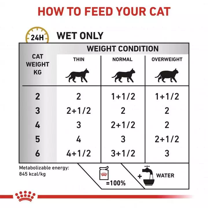 ROYAL CANIN® Urinary S/O Adult Wet Cat Food 5 ROYAL CANIN® Urinary S/O Adult Wet Cat Food - Image 5
