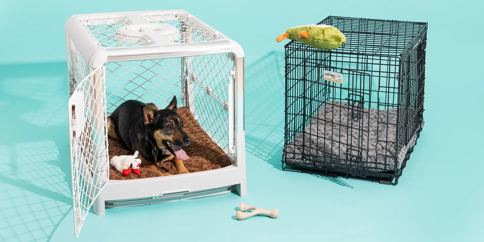 Petties Zone -Petties Zone BEST DOG CRATES 2048px 02486 2x1 1